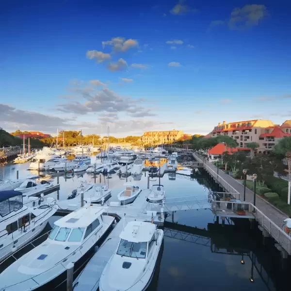 shelter-cove-harbour-marina